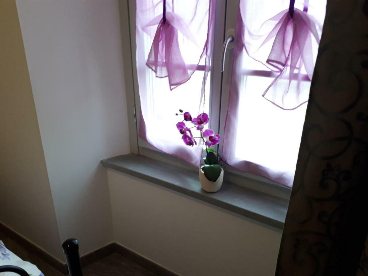 Oro Rosso Rooms Locazione Turistica 아레초 외부 사진